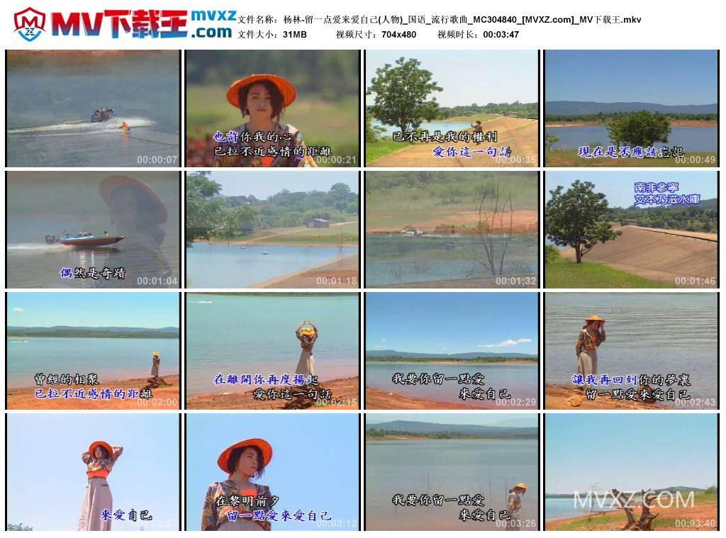 杨林-留一点爱来爱自己(人物)_国语_流行歌曲_MC304840